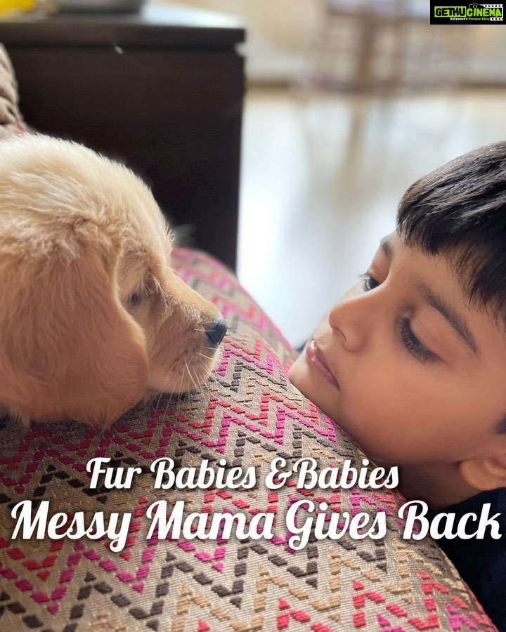 Sameera Reddy Instagram - Fur baby and babies special🥰 #messymamagivesback with @diydayalishka Google form available at my link in bio☎️ . @poojascozycattery Pooja runs a clean & friendly cat boarding facility in Bangalore 🐶@petzappdotin Gino has an online platform for pet related products and services 🐶@madazoo Sreelakshmi wants to widen her reach for awareness campaigns & support for stray furry babies🐶@lanchana Lanchana is a pet portrait artist who makes customised portraits of pets🐶@shiny_alexxander Shiny designs clothes for humans and their fur babies🐶@petchefindia Priya makes pet friendly cakes and treats for doggies for their birthday (bark-day!)🐶@mamanaturally.in Aarathi hopes to bring organic, sustainable products for Mothers, Babies and Pets (because she loves dogs) to one place🐶@thehouseofcouchpotato Ananya a self taught artist makes pet portraits on wooden slices🐶@boof_bybella Chetna, Chaitalee & Bella, twins & their Shitzu want to make high quality, pet friendly material clothes for pets🐶@f_a_crafts Aysha crotchets cute products for babies👶🏼@meow.kidsfashionbrand is a sassy fashion brand for girls between 1-10 year👶🏼@seedbyhridhyavipin Hridhya works with both sustainable wear and bespoke designer wear👶🏼@colourfull_collectionsbyprachi Prasanna started making dresses for her nieces and eventually turned it into a business👶🏼 @earthlikedesign is a sustainable fashion label, work with a tagline"Traditional crafts, contemporary styles”👶🏼@littlesundaribygowri Gowri makes casual and ethnic wear for small sundaries👶🏼@joshuatrendsnfashions Priyanka customises matching (twinning) outfits as per customer requirements like mom and daughter combo, family combo etc👶🏼@vivedkids Megha started as a party wear brand now focusing on block prints Patola mulmul etc👶🏼@samskruthi_babycouture Aruni does vintage, classic and traditional wears at all price ranges so that everyone can have designer dresses👶🏼