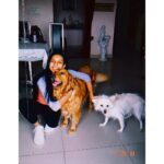 Sanchana Natarajan Instagram - Who’s the happiest? #zeenia #puffy Bangalore, India