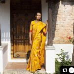 Sanchana Natarajan Instagram – #Repost @tulsisilks with @repostapp
 Shot by @avabhay ・・・
A summer treat for the eyes, this stunning yellow saree is a classic work of elegance and grace. Challenge the sun in this fierce number!
To buy this saree visit: http://bit.ly/2oDp1l1
.
.
.
.
.
#tulsisilks #summercollection #kanjeevaram #kolamprint #tulsi #instagram