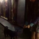 Sanchana Natarajan Instagram - All i wanted was to entertain him🤡🐶 @malinikarthikeyan thanks for not capturing his response 😝
