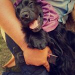 Sanchana Natarajan Instagram - All i want in life is to be as happy as him 😂😆 #cannothandlethecuteness #soadorbs ❣️