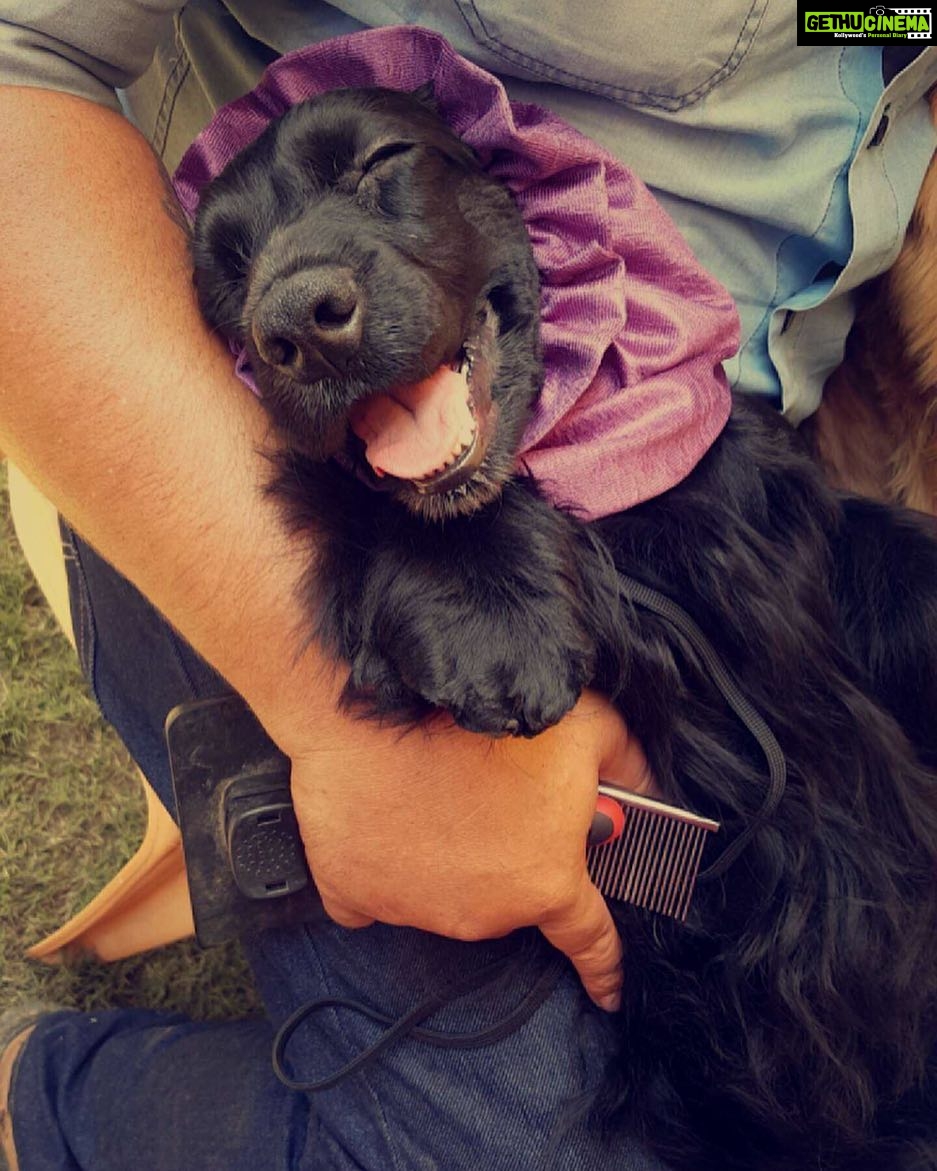 Sanchana Natarajan Instagram - All i want in life is to be as happy as him 😂😆 #cannothandlethecuteness #soadorbs ❣️