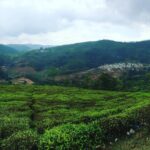 Sanchana Natarajan Instagram - Ooty2016 #vacay #obsessedwiththisplace #beauty #nature 💚