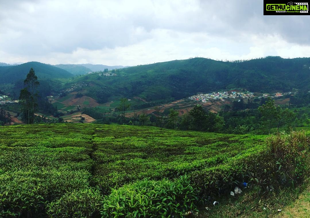 Sanchana Natarajan Instagram - Ooty2016 #vacay #obsessedwiththisplace #beauty #nature 💚