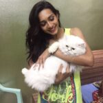 Sanchana Natarajan Instagram - He is milo!😍the cutest,fluffiest,yummiest cat😂 #iwantedtoeathimoff #cannotabletogetoverhiscutness #milothecat 🐱💚