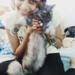 Sanchana Natarajan Instagram - Bozoo the cool kitten 🐱😎! P.s - look at the hello kitty bell on his collar🙈 watta cutie 💛 #heisclearlyisnotinteresredinposing #heiscoollikethat😝 #marbleball #mushymushy #sundaycuddles