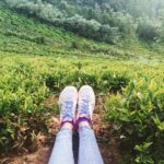 Sanchana Natarajan Instagram – Its So hard not to fall in love with this place #ooty2016 💛