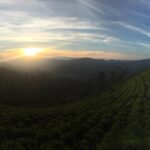 Sanchana Natarajan Instagram – Breathtaking sunsets 😧 ⛅️ #ooty2016🌁 Queen of Hill Stations {Udhagamandalam (Ooty)}