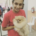 Sanchana Natarajan Instagram - Naughty😍 #iwantedtokidnapher #cutest 🐶