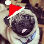 Sanchana Natarajan Instagram - Merry christmas ya'll ...:') its the season to b happy :*