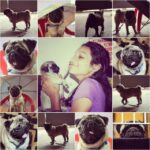 Sanchana Natarajan Instagram - Happy birthday love :* <3