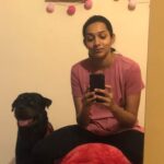 Sanchana Natarajan Instagram - All my friends are getting married to the love of their lives and here i am forcing cute doggos to take cute pictures with me 😬 #livingthebestlifeha? #theyalllovemetoo #doggolifebestlife