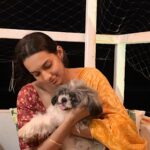 Sanchana Natarajan Instagram - The only way to my heart. Let me cuddle with your dog and we can be friends 😬❤️. Also i will suffocate you with my love the last picture is a proof! 😬 #iamakadhalvirus