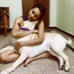 Sanchana Natarajan Instagram - Life is beautiful.🐕❤️