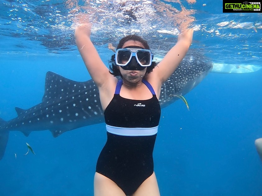 Sanchana Natarajan Instagram - Gracefully hitting on whale sharks 🐋 (pun intented)🤪 #filipinostyle #veryglamorous Oslob Whale Shark Watching