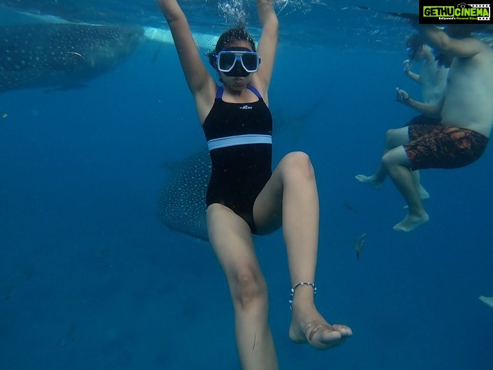Sanchana Natarajan Instagram - Gracefully hitting on whale sharks 🐋 (pun intented)🤪 #filipinostyle #veryglamorous Oslob Whale Shark Watching