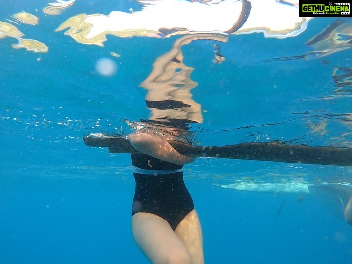 Sanchana Natarajan Instagram - Gracefully hitting on whale sharks 🐋 (pun intented)🤪 #filipinostyle #veryglamorous Oslob Whale Shark Watching