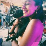 Sanchana Natarajan Instagram - Always looking forward to squish dogs😍 #myhappyplace