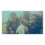 Saniya Iyappan Instagram - Bucket list no.9 checked!! #scubadiving ♥️ @divegoa Ps : It was an amazing experience bt wld suggest if ur trying it for the first time u shld try it else wer ... as Ull get much more to see . The water here wasn’t great.. 🤗 Goa