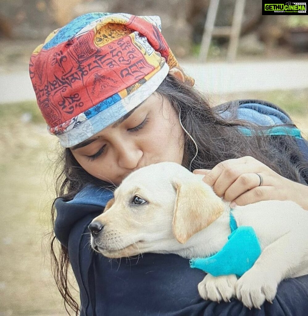 Sanusha Instagram - It’s the connection, always. #charlie #love #pet #puppy #memories #grateful #instagood #instagram Thank you for sharing me the pictures Unni..😊 #joandtheboy #memories #onlocation Kodaikanal- Princess of Hills