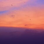 Sanya Malhotra Instagram - ☁️☁️☁️☁️☁️