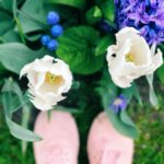 Sanya Malhotra Instagram - #tb #Keukenhof 🤓