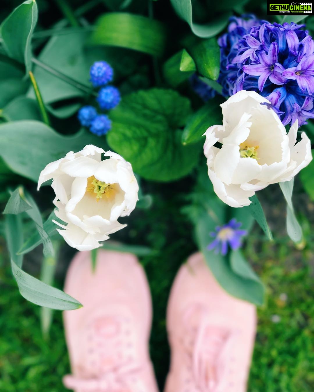 Sanya Malhotra Instagram - #tb #Keukenhof 🤓