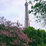 Sanya Malhotra Instagram - The Eiffel Tower