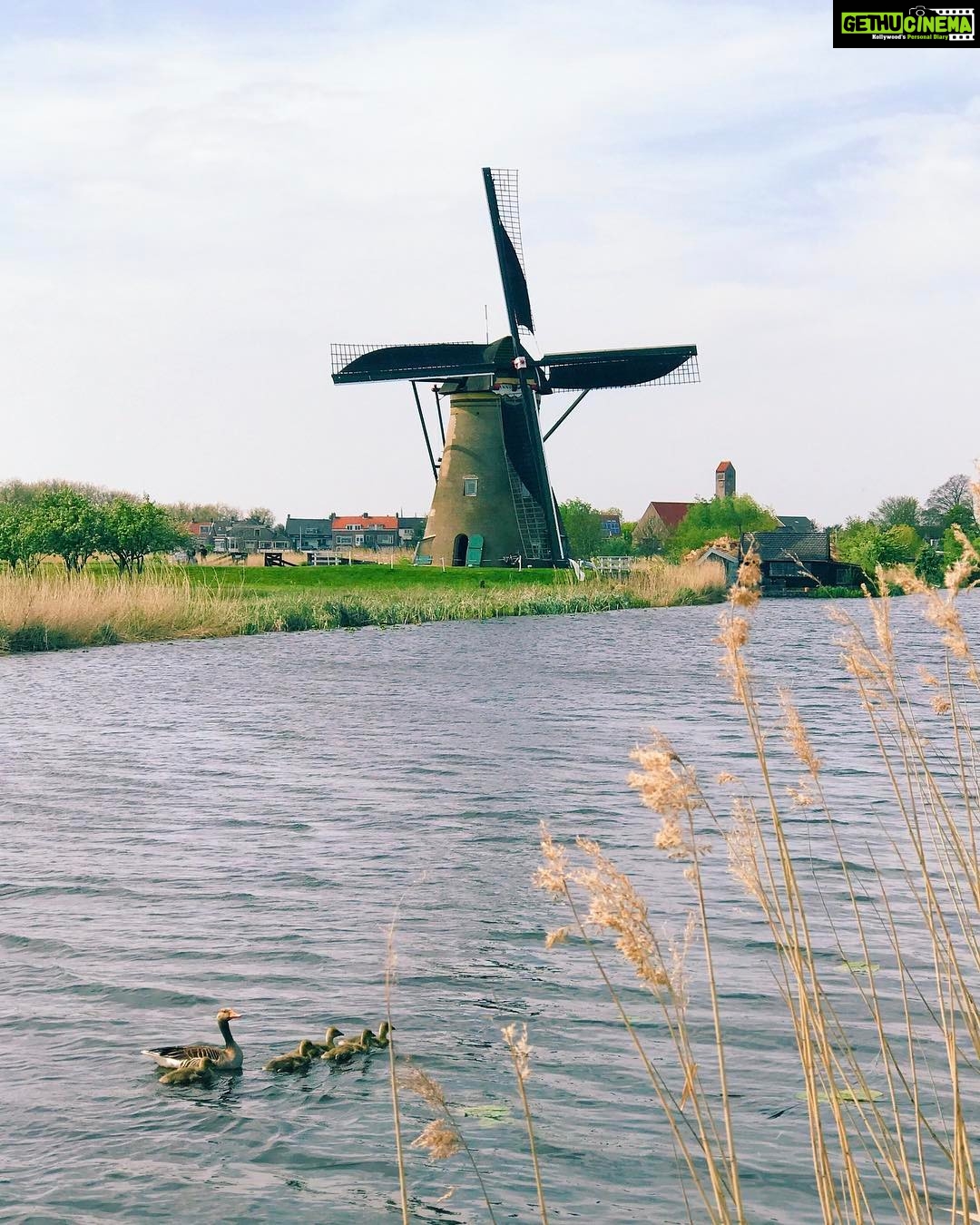Sanya Malhotra Instagram - Kinderdijk, Netherlands