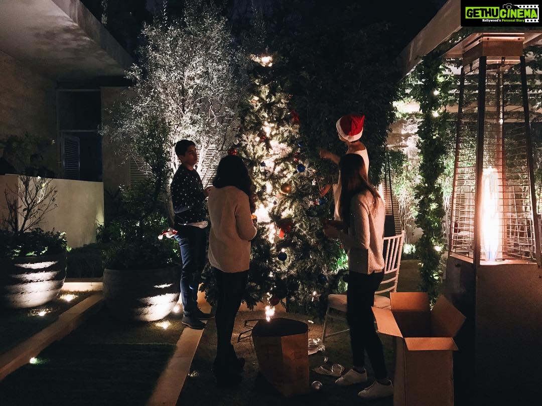 Sanya Malhotra Instagram - Merry Christmas to everyone ❤️