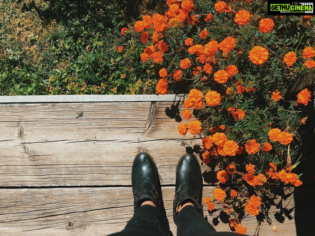 Sanya Malhotra Instagram - Genda phool Paro, Bhutan