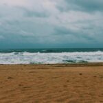 Sanya Malhotra Instagram - Until next time, beach