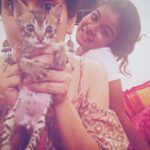 Sanya Malhotra Instagram - Fostering this cutie 😍❤️ #kittenforadoption