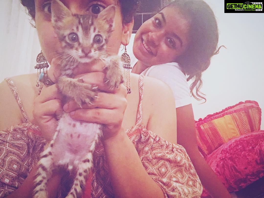 Sanya Malhotra Instagram - Fostering this cutie 😍❤️ #kittenforadoption