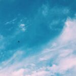 Sanya Malhotra Instagram -