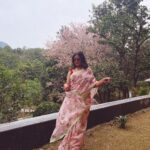Sanya Malhotra Instagram - 💕🌸🌺🌼💕