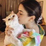Sanya Malhotra Instagram – Ek tarfa pyar ki taqat hi kuch aur hoti hai … Doggos ke rishton ki tarah yeh Billiyon mein nahi batti … sirf mera haq hai ispe 🥺🐈 #shelovesme #shelovesmenot