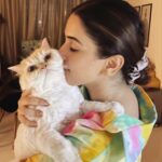 Sanya Malhotra Instagram - Ek tarfa pyar ki taqat hi kuch aur hoti hai ... Doggos ke rishton ki tarah yeh Billiyon mein nahi batti ... sirf mera haq hai ispe 🥺🐈 #shelovesme #shelovesmenot