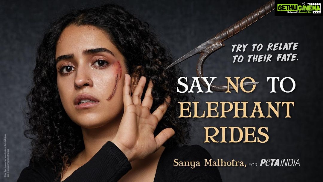 Sanya Malhotra Instagram - Join @petaindia and me in saying NO to elephant rides on #WorldElephantDay 🐘 . . . Photographer: @taras84 Manager: @chandnidholakia1989 PR: @think_talkies Hair and Makeup: @natashamathiasmakeup_hair Team PETA India: @sachinsbangera @rain_and_unicorn.13 @theecotrunk