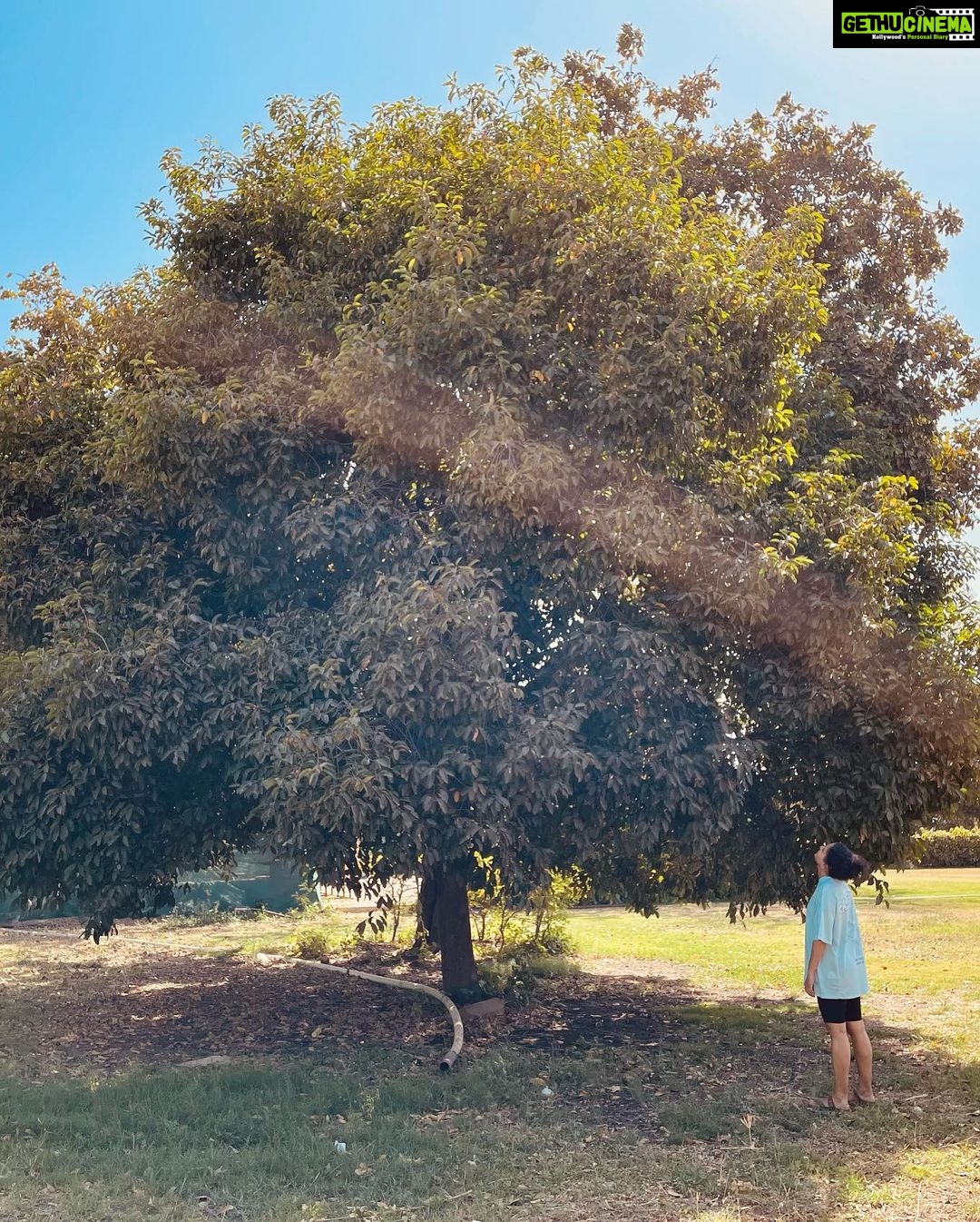 Sanya Malhotra Instagram - Nature is the medicine for everything 💕🌳