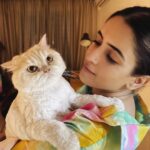 Sanya Malhotra Instagram - Ek tarfa pyar ki taqat hi kuch aur hoti hai ... Doggos ke rishton ki tarah yeh Billiyon mein nahi batti ... sirf mera haq hai ispe 🥺🐈 #shelovesme #shelovesmenot