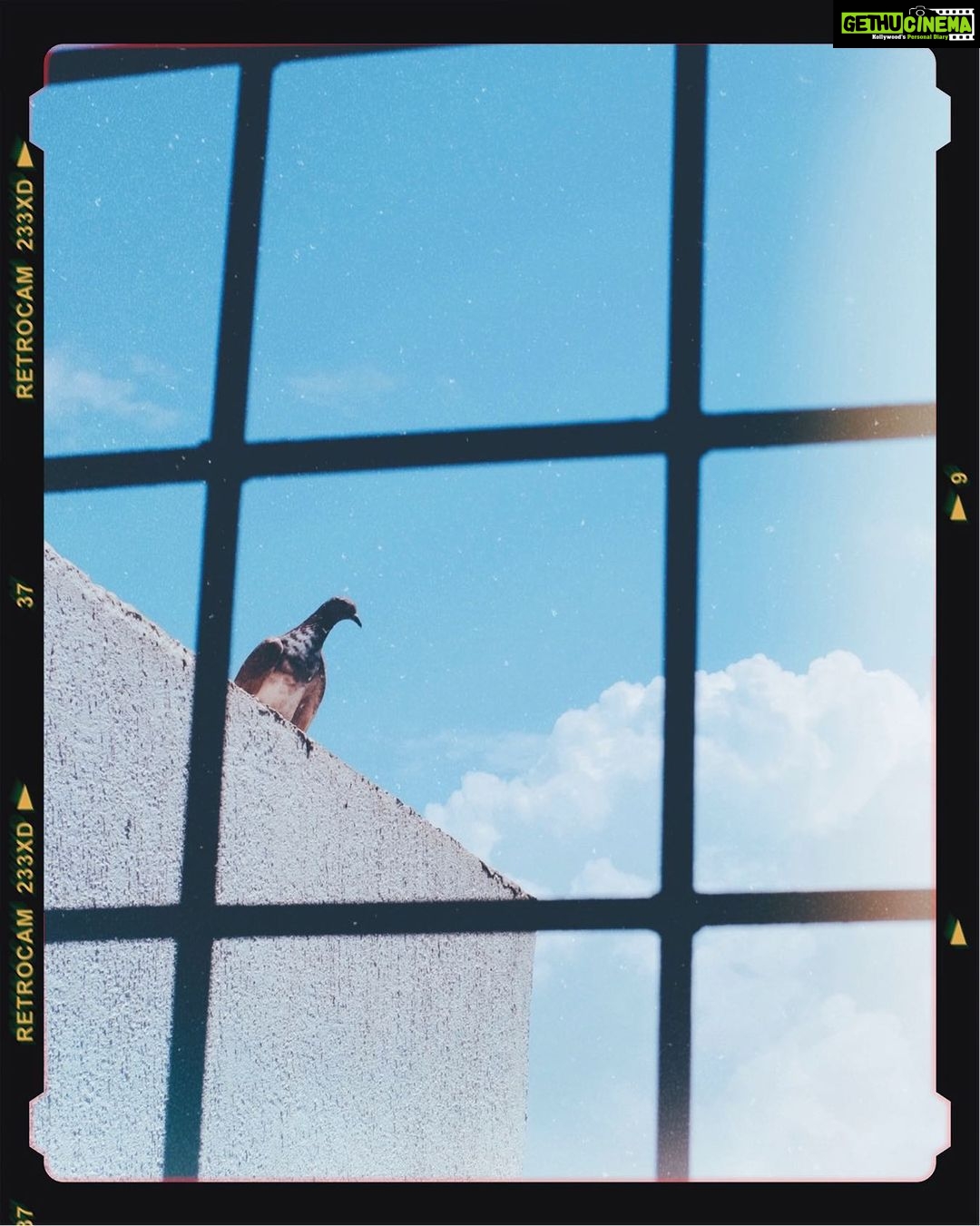 Sanya Malhotra Instagram - Stay coo βπΌπ
