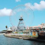 Sanya Malhotra Instagram - 🎡