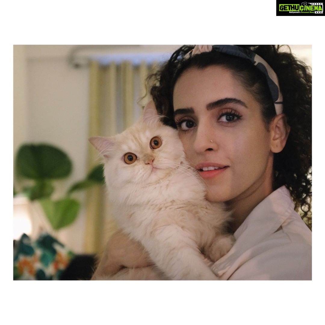 Sanya Malhotra Instagram - Meri pyaari billu, meri bholi billu 🐈♥️