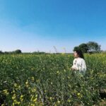 Sanya Malhotra Instagram - 🌻 #Kathal