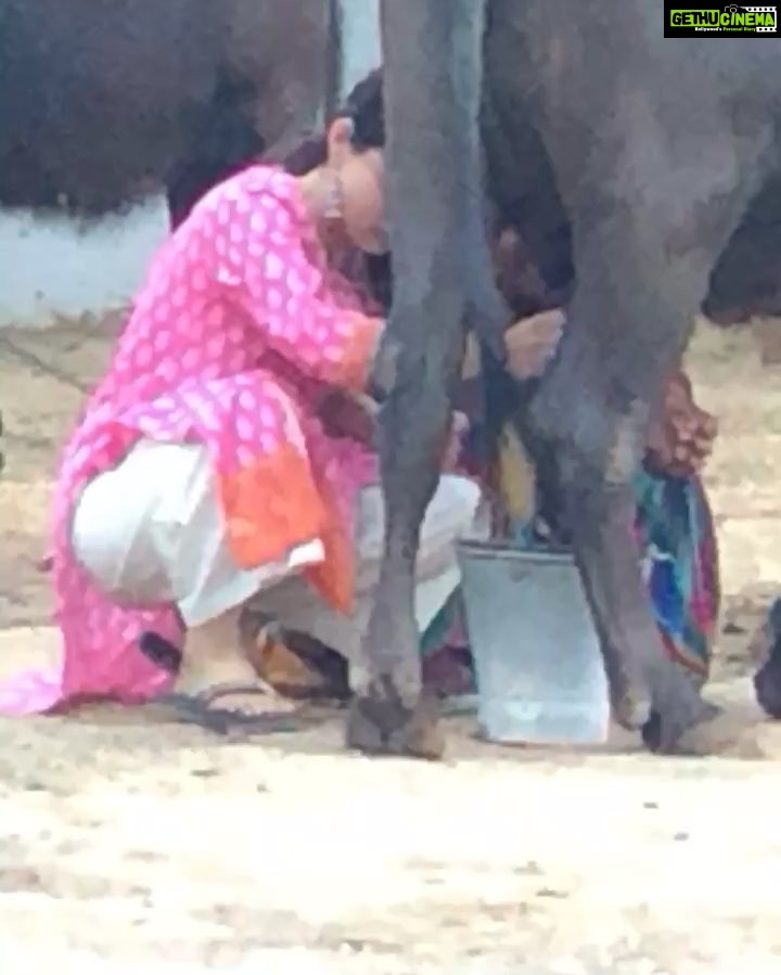 Sanya Malhotra Instagram - Jitto 🐃 duniya mein #Pataakha #throwback LoL 😂