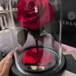 Sarah Khan Instagram - Not the gift but the intention 💕🧿 I love you @falakshabir1 every woman deserves a husband like you! Happy second anniversary to us♥️