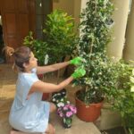 Shamita Shetty Instagram - My love for flowers continues🌸💮🌱💜 . . . . #plants #flowers #gardening #florallove #happiness #vacation #peace #lovealways