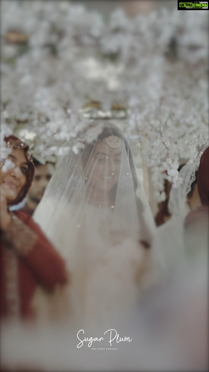 Shamna Kasim Instagram - The world is full of beautiful people and you are someone very special to us! We are absolutely honoured that you chose us to do your ENGAGEMENT DECOR ♥️🤍 • • BRIDE - SHAMNA KASIM @shamnakasim • • Video @mubashirphotography Outfit @shemyofficial Mehendi @mehandi_maestro Jewelry @mangatraineeraj Makeup @sijanmakeupartist Styling @vasudevan.arun Catering @palacekitchen.caterers Venue @arabianbeachresort • • #Engagementofshamnakasim #Weddingdecor #Indianmalluengagement #Celebrity #Happysoul #Shamnakasim #Decor #Eventsbysugarplum #Sugarplumevents #sugarplumclt