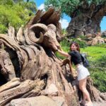 Sherin Instagram - 🌳 🌳🌳 #sherin #animalkingdom #animals #cute #disney #disneyworld #travel #travelphotography